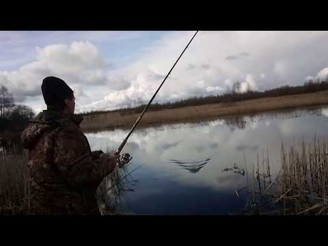 Рыбалка весной на фидер и удочку на реке нерль