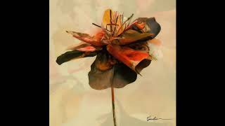 페노메코 (PENOMECO) - Okay