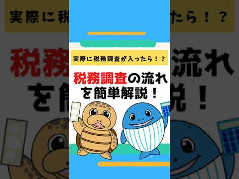 流通マーケティング学科 税務調査の流れ！税理士が簡単解説#Shorts
