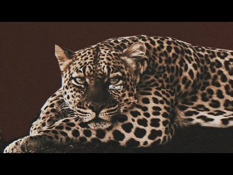 Jaider Piraña - Ley De Calle - (Videoclip Oficial) - Prod.ABSTRACTO RECORDS - DIRTYDOGFILMS