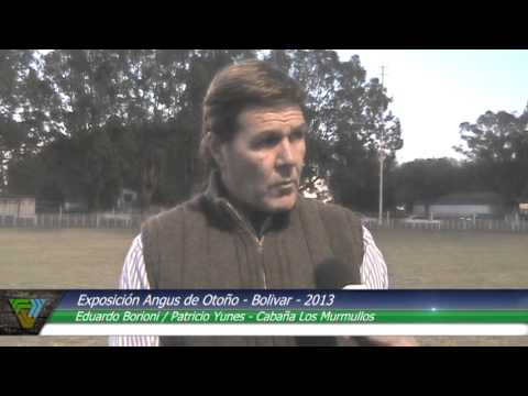 Cabañasbovinas.com - Exposición Angus de Otoño 2013 - Cabaña Los Murmullos