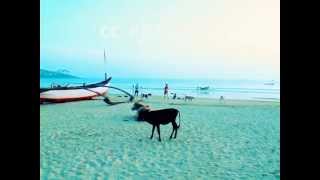 preview picture of video 'Famous Palolem Beach in Goa of India'