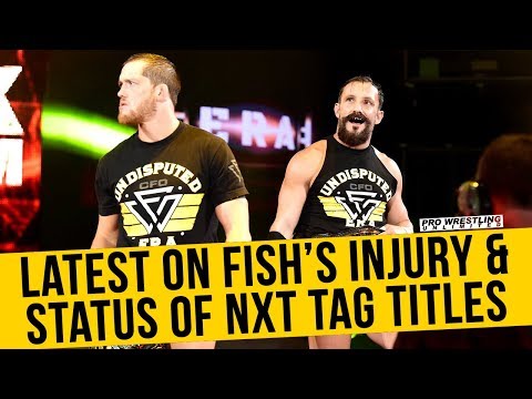 Report: Bobby Fish Has Underwent Knee Surgery