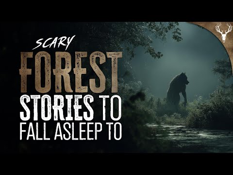 11 Scary Forest Stories to Fall Asleep To