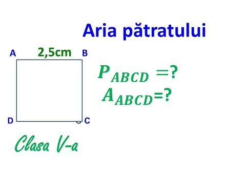 Aria & perimetrul pătratului. Clasa a V-a #arii #patrat