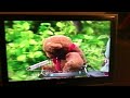 Sesame Street S Magic Banana Episode PART 8