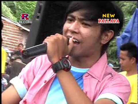 Gadis Pendayung - Gerry Mahesa - New Pallapa live Pelem Watu   Menganti Gresik 25 Januari 2014