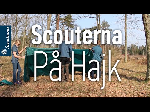 Scouterna på Hajk