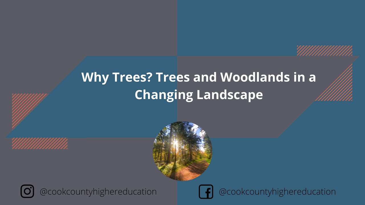 Why Trees? Trees and Woodlands in a Changing Landscape