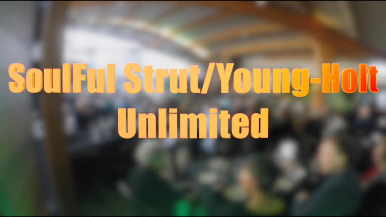 Promotional video thumbnail 2 for Groovy Turtles Band