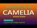 CAMELIA KARAOKE RHOMA IRAMA