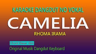 Download lagu CAMELIA KARAOKE RHOMA IRAMA mp3 Download lagu CAMELIA KARAOKE RHOMA IRAMA mp3
