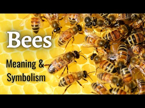 🐝🐝What Does It Mean When A BEE Visit Your Home? 🐝🐝 Spiritual Meaning and Symbolism of BEES
