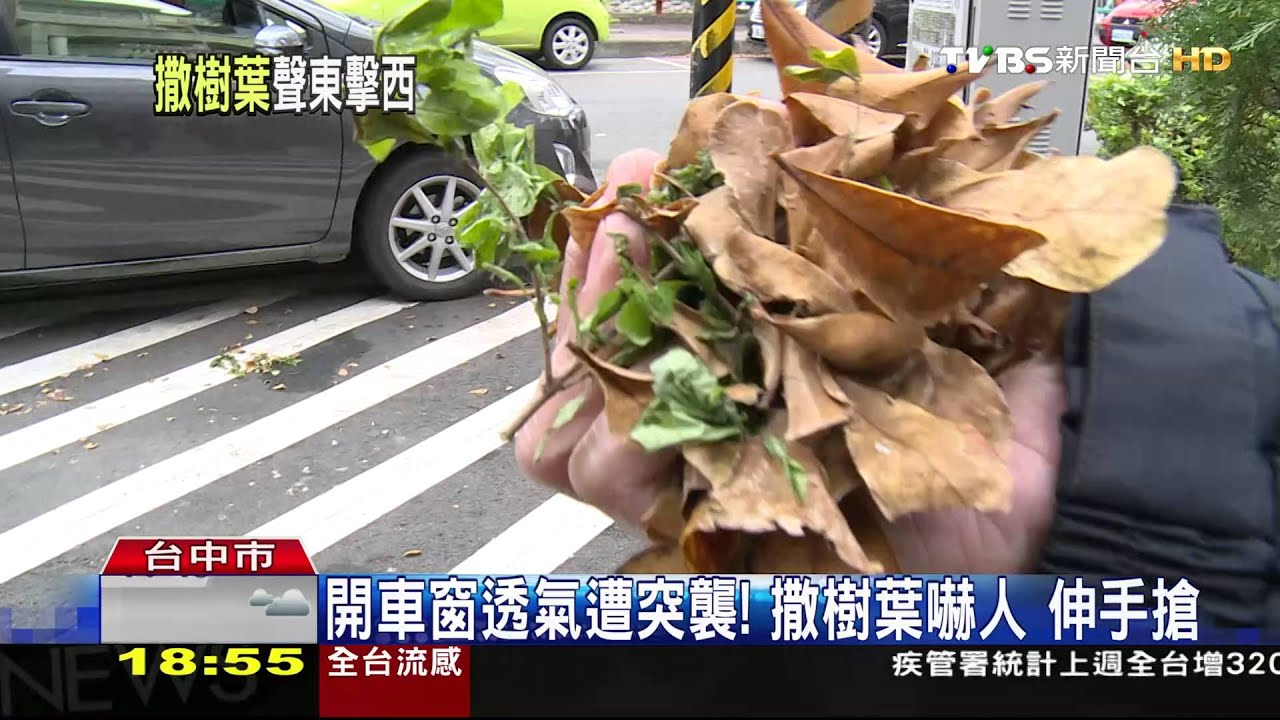 開車窗透氣遭突襲！　撒樹葉嚇人、伸手搶