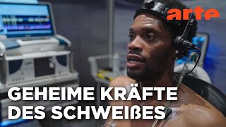 Schwitzen - Die menschliche Superkraft | Doku HD | ARTE