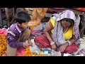 Northern India 2017 4K UHD