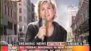 9/11 In Plane Site - Directors Cut