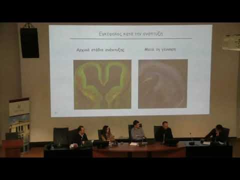 Exploring the Brain - The Live Brain Show S1E3 - Γεννιέσαι ή Γίνεσαι;