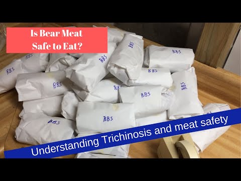 Trichinosis in wild hog and bear meat