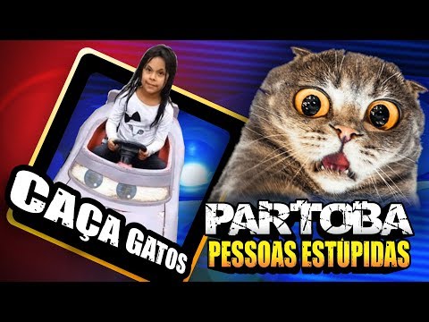 🔥 ParTOBA Stupid People 7 and the CAT Hunter