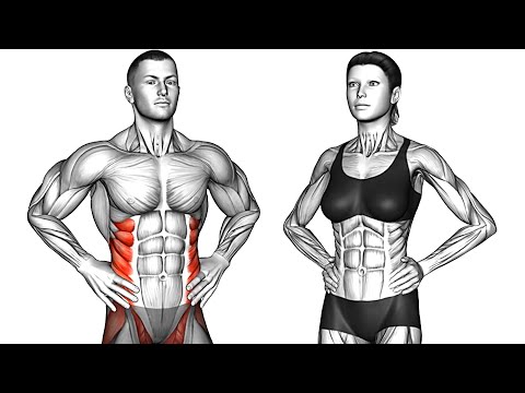 Do This 15 Min Morning Exercise Routine Every Day