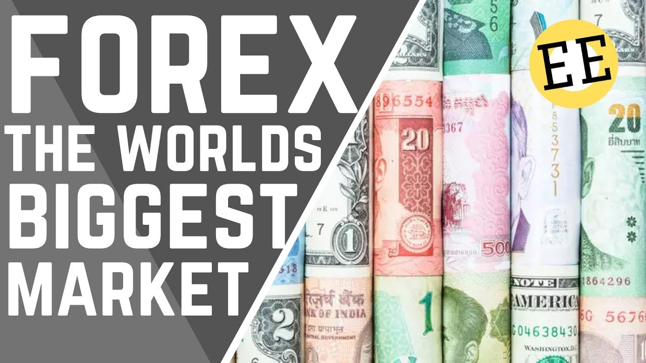 The Economics of Foreign Exchange