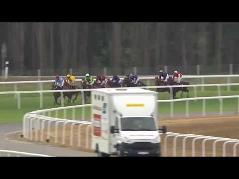 2016.06.19 Dianalöpning (Swedish 1000 Guineas) - Pocahontas Face