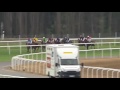 2016 06 19 Dianalöpning Swedish 1000 Guineas Pocahontas Face
