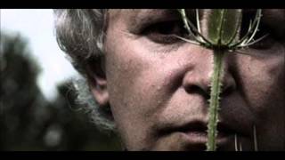 Robert Pollard - Extra Fool&#39;s Day