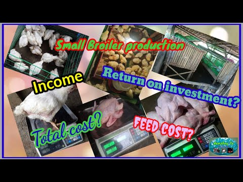 , title : 'Income sa pag-aalaga ng broiler chicken | Total cost, Feed cost broiler production.'