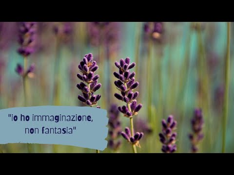 la differenza tra fantasia e immaginazione