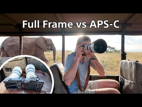 Mirrorless Full Frame vs APS-C – which is better? Sony a7 IV vs a6700 Comparison