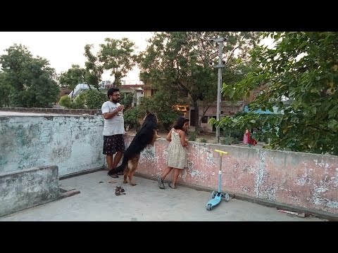 vlog 201 jaccky n family ❤️😍💕