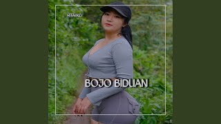 Download lagu Bojo Biduan mp3