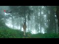 Sangeetha Megam Song Status Melody Song Status SPB Song Status Love Song Status Couple Love Status