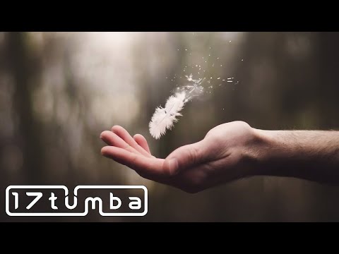 Victoriya x Andy Leech - Night Garden