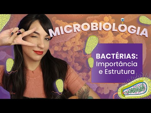 BACTERIA: Importance and Structure | Video Lesson | Microbiology | Flavonoid #2