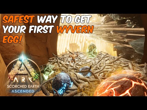 How to Safely Get Your First WYVERN EGG in ARK Survival Ascended #ark #arksurvivalascended