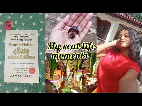 My real life moments 🪴💗🌧️ how I spend today with my hobbies 🫂 gardening / journaling / holiday vibes