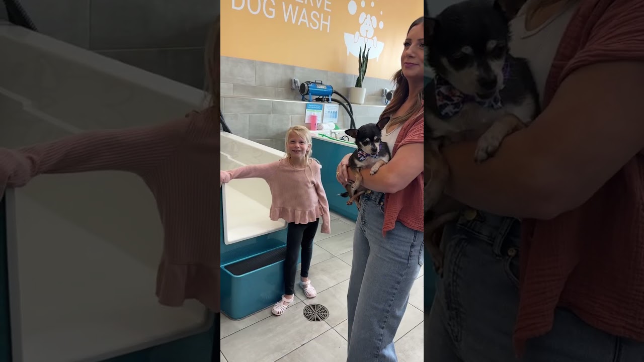 Tilley had the BEST time! 🙌👌🐾 Take your pets to Pet Evolution in North Richland Hills Texas!