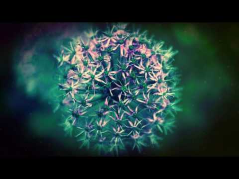 Marin Hoxha - Only Love (ft. Chris Linton)