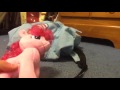 Pinkie Pie Farted