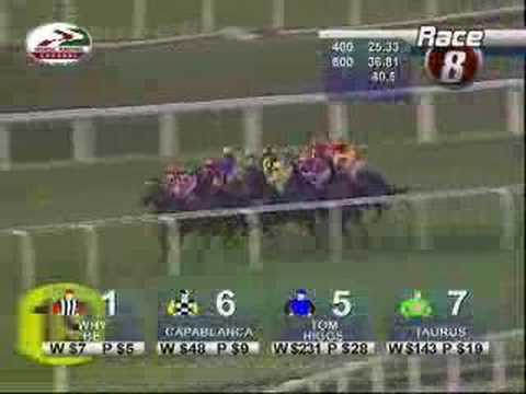 FISCHER STAKES　01/04/07 - WHY BE