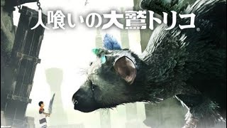 【感涙】#13(完) 人喰いの大鷲トリコ 〜僕とトリコの物語〜【女性実況】