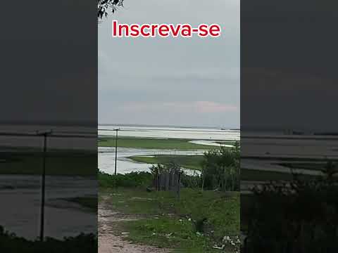 Lago de VIANA-MA. venha conhecer esse encanto natural #nordeste #paisagemnatural