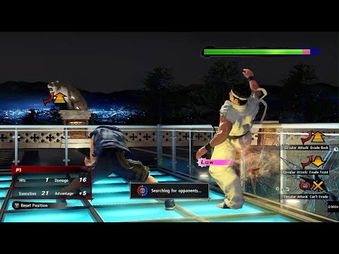 Virtua Fighter 5 Ultimate Showdown: Lion's Wall Combo (100dmg)
