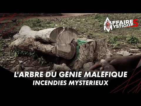 Le génie maléfique - AFFAIRES MYSTIQUES (26/10/21)