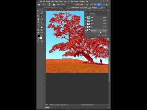 Remove Backgrounds - Short Photoshop Tutorial#viral #photoshop2.0