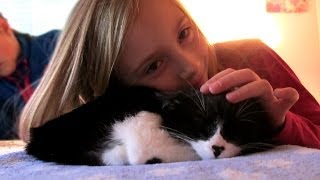 I&#39;ll Be Home For Christmas ~ Amy Grant ( A Christmas Surprise)