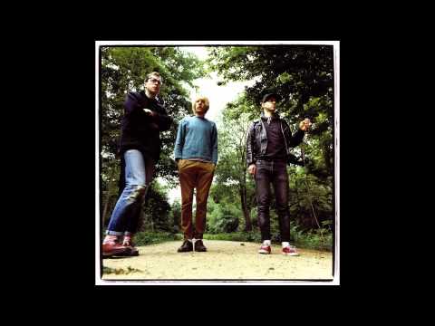 Male Bonding - Bones (not the video)